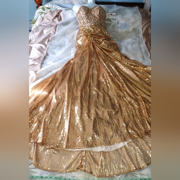 Disney Dresses & Skirts - DISNEY Forever Enchanted Prom Dress